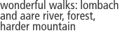 wonderful walks: lombach and aare river, forest,  harder mounta