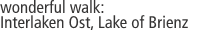 wonderful walk: Interlaken Ost, Lake of Brienz
